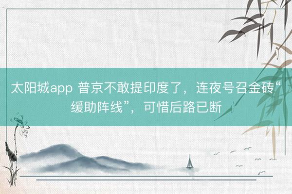 太阳城app 普京不敢提印度了,连夜号召金砖“缓助阵线”,可惜后路已断